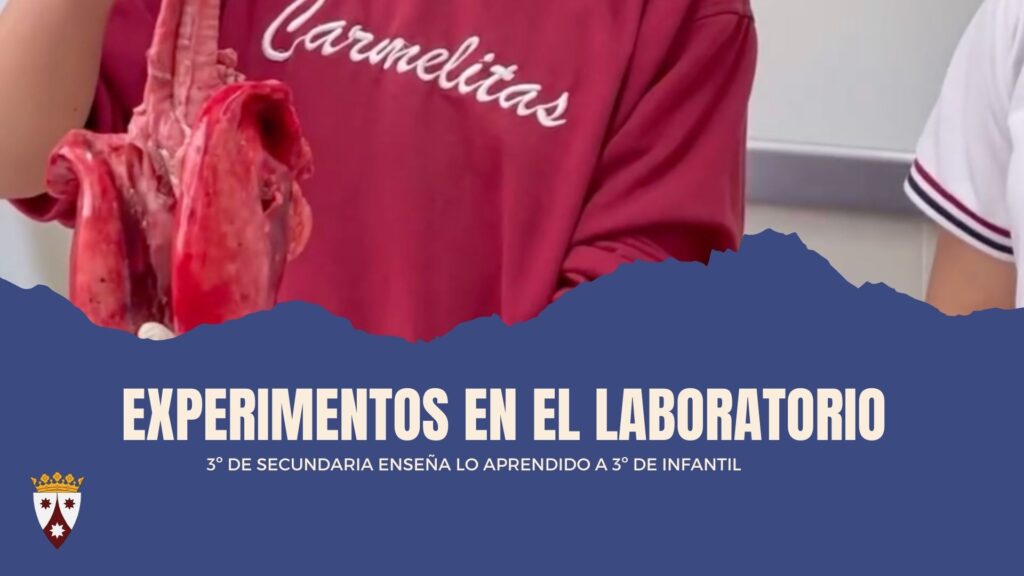 Prácticas en el Laboratorio